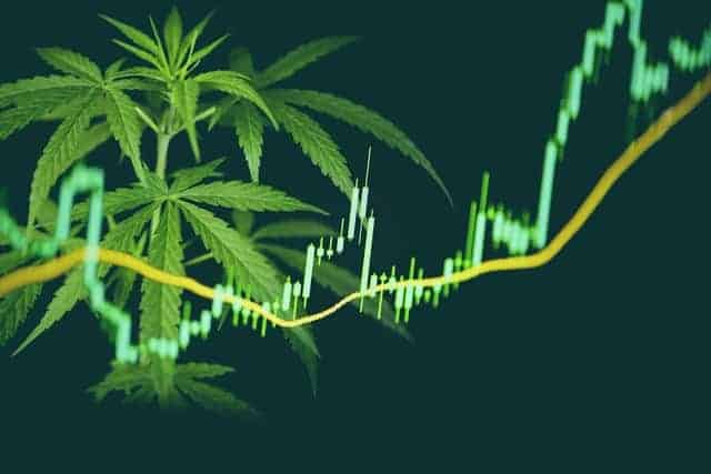 best marijuana stocks