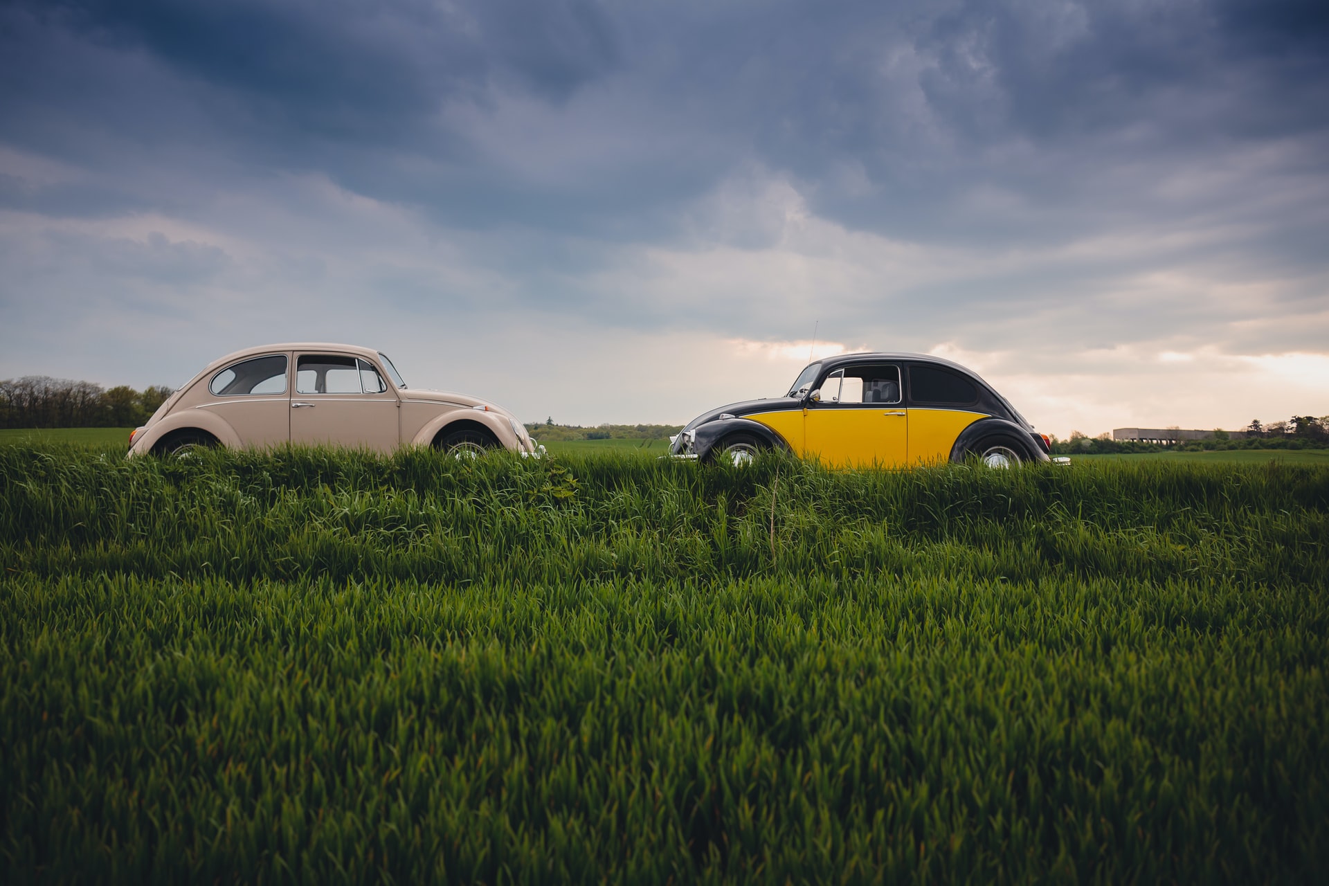 how to choose between auto refinance lenders