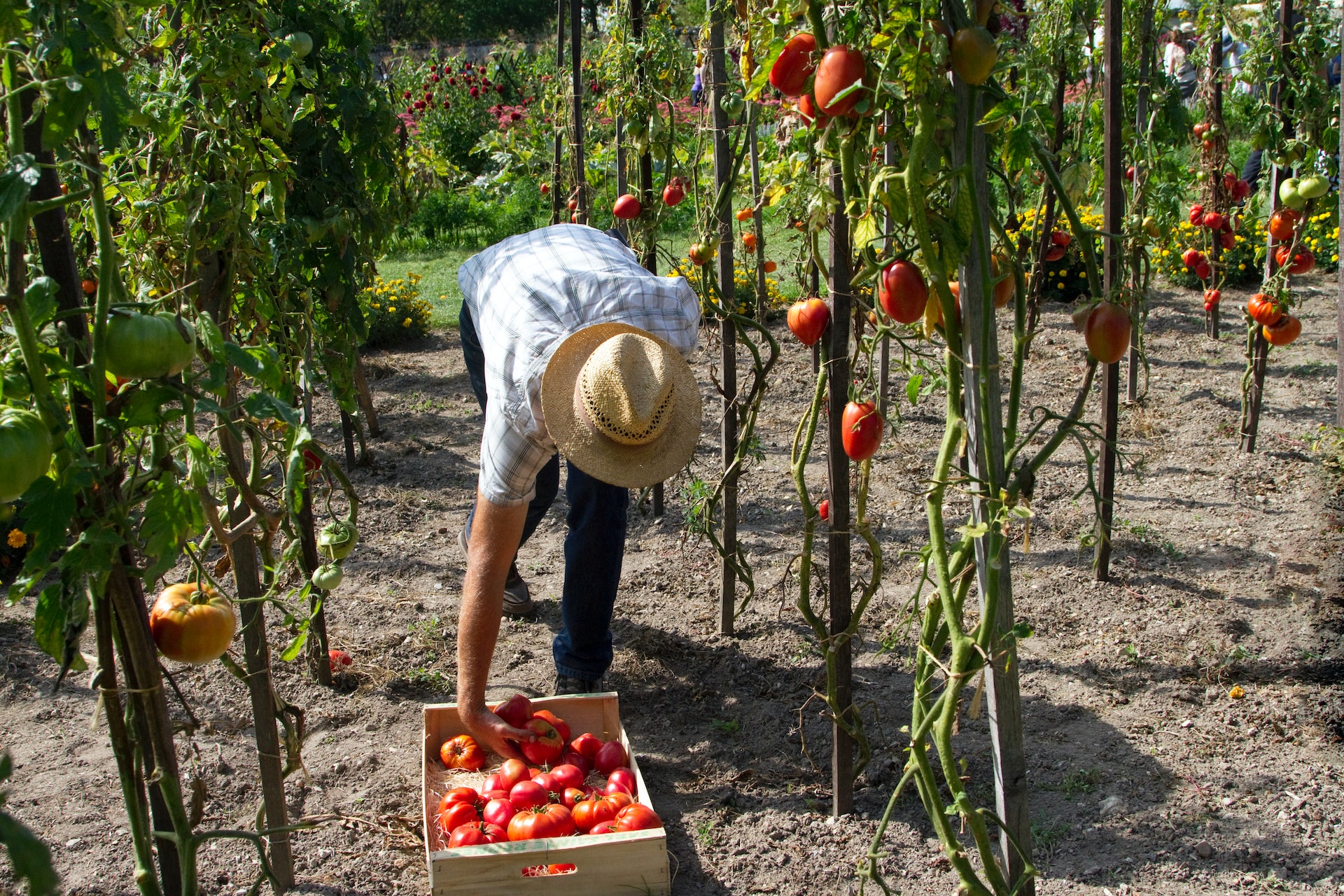 farm financing